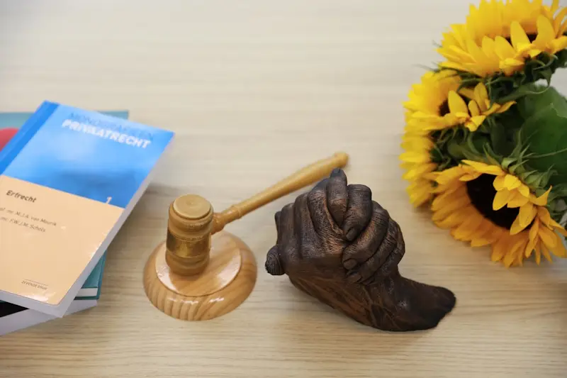 Met nalatenschapsmediation kun je een ruzie tussen erfgenamen over de erfenis sneller en goedkoper beëindigen dan met een rechtszaak.